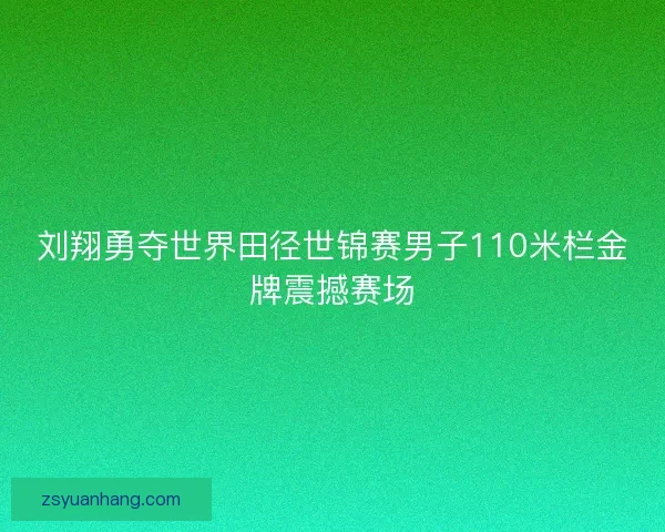 刘翔勇夺世界田径世锦赛男子110米栏金牌震撼赛场 刘翔勇夺世界田径世锦赛男子110米栏金牌震撼赛场