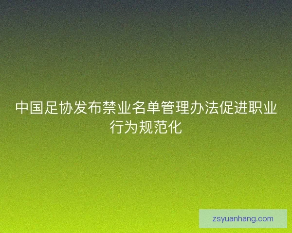 中国足协发布禁业名单管理办法促进职业行为规范化 中国足协发布禁业名单管理办法促进职业行为规范化